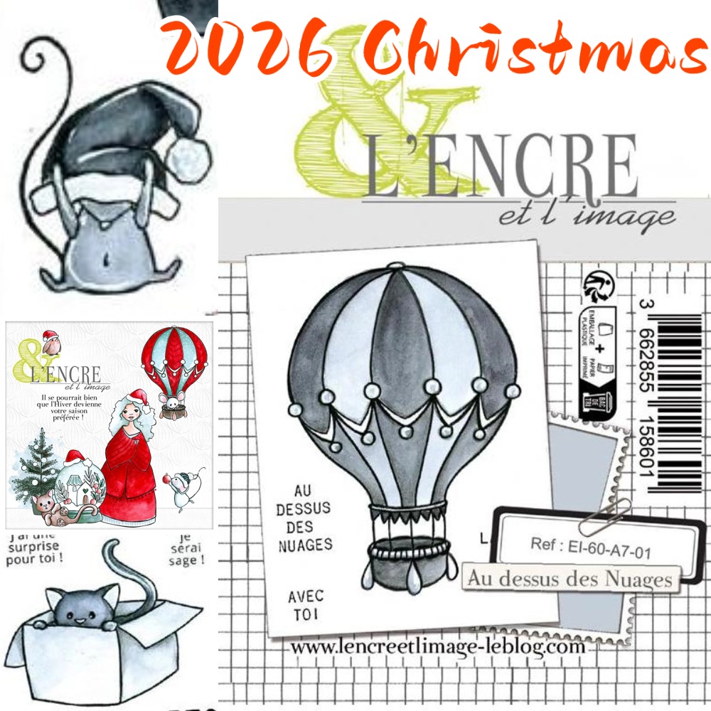 Clear Silicone Stamps For Card Making - Timbres français tampons en silicone transparent