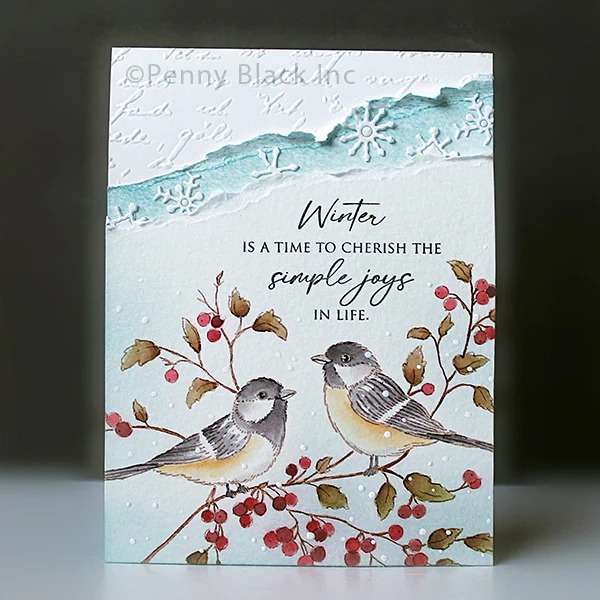 Timbres en silicone transparen - Clear Silicone Stamps For Card Making avis et prix